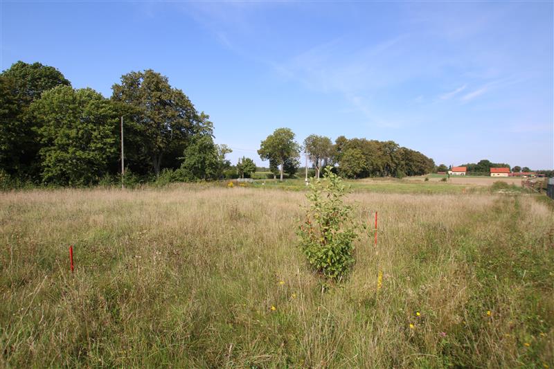 Pogrodzie, Pogrodzie