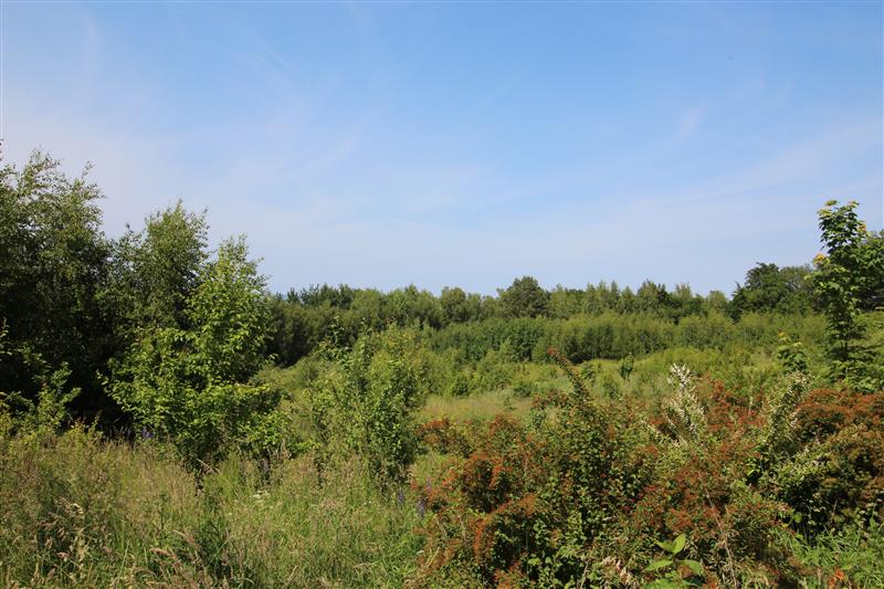 Nieruchomość nr BX04600, Działka  na Sprzedaż