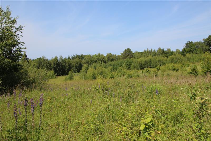 Nieruchomość nr BX04600, Działka  na Sprzedaż