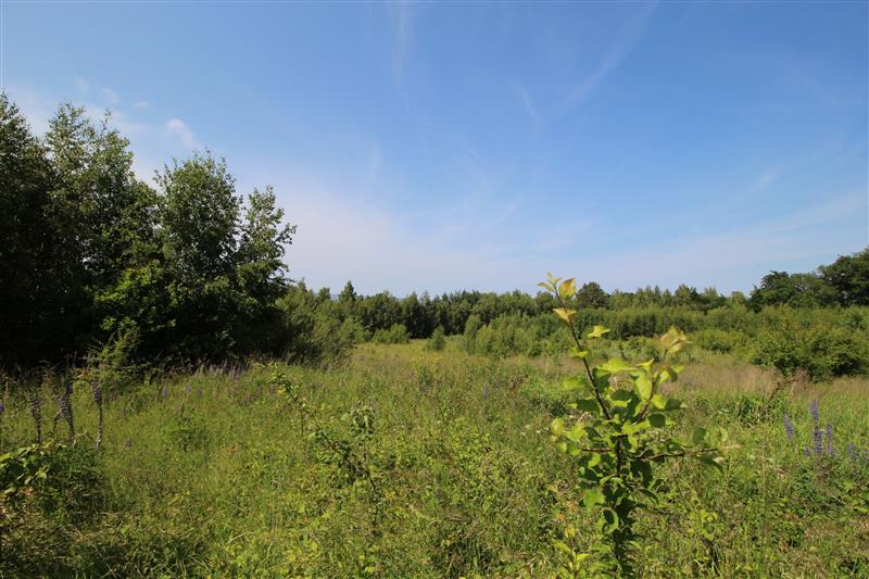 Nieruchomość nr BX04600, Działka  na Sprzedaż