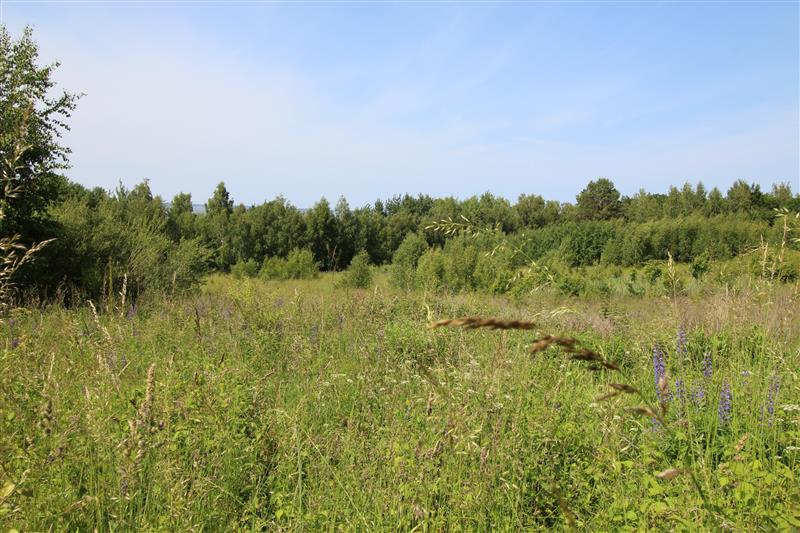 Nieruchomość nr BX04600, Działka  na Sprzedaż