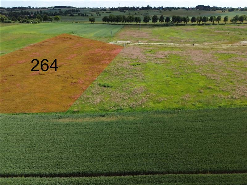 Nieruchomość nr BX04612, Działka  na Sprzedaż