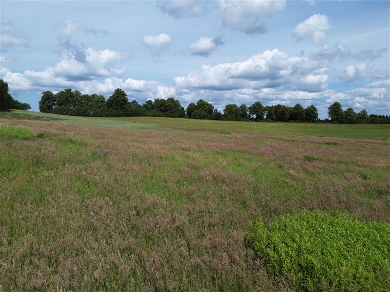 Nieruchomość nr BX04612, Działka  na Sprzedaż